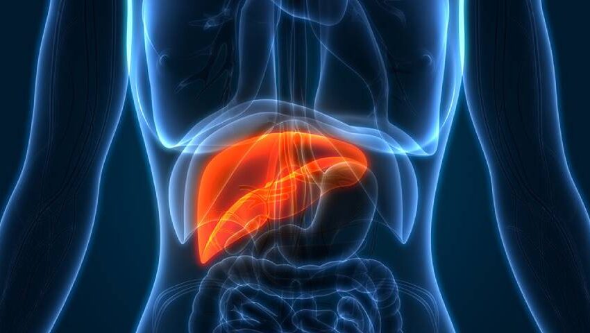 Fatty Liver Disease