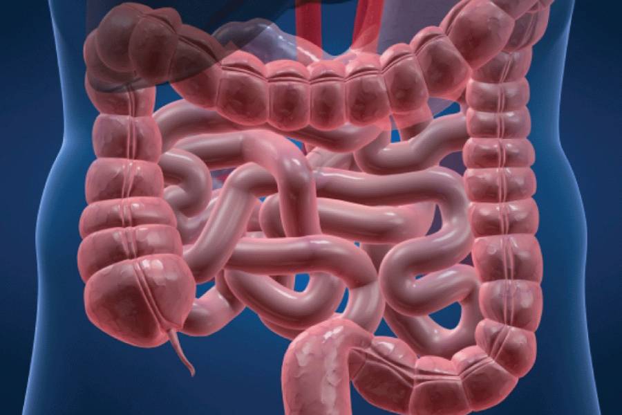 IBS Treatment in Pune