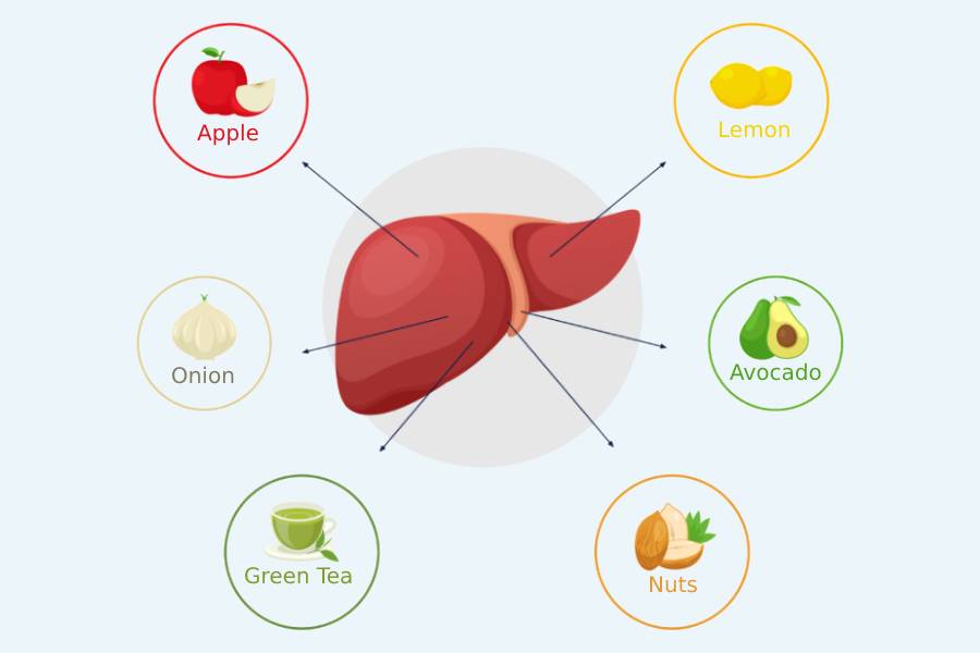 Diet Therapy for Liver Diseases