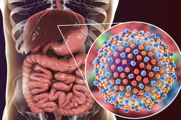 Hepatitis D Treatment